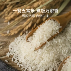 1212的色佛