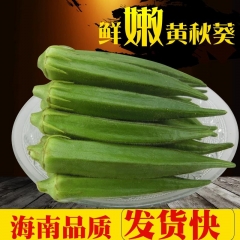 测试定时发布3