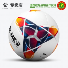 足球儿童小学生4号训练少儿比赛用球小孩真皮脚感耐磨卡尔美足球
